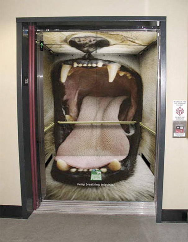 Elevator Advertising