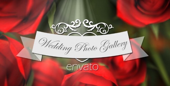 Wedding Photo Gallery