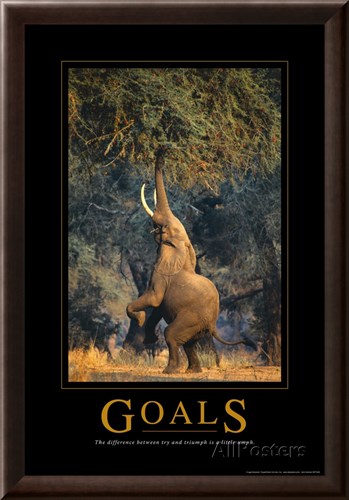 Goals poster