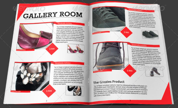 Professional Marketing Brochure