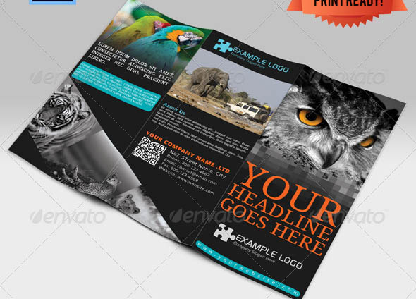 Adventure Travel Brochure