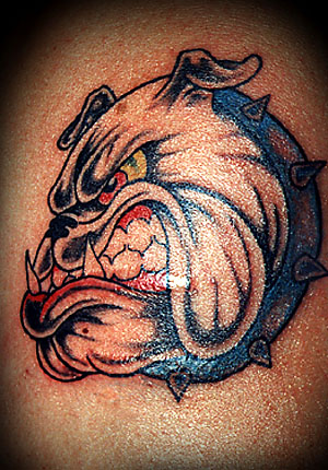 Angry Bulldog Tattoo