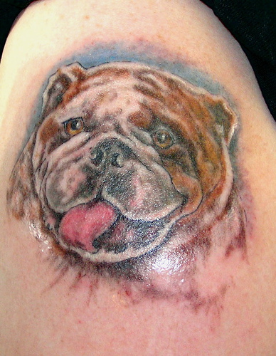 Funky Bulldog Tattoos On Arm