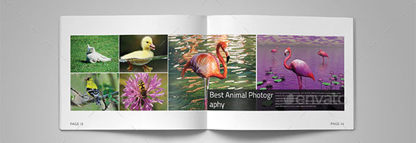 Photography Portfolio Brochure Catalog