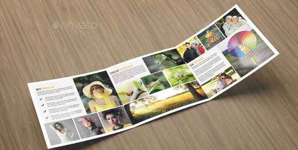 Square Tri-Fold Photography Brochure