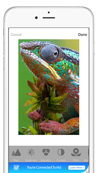 PhotoGram Full App Template for iPhone