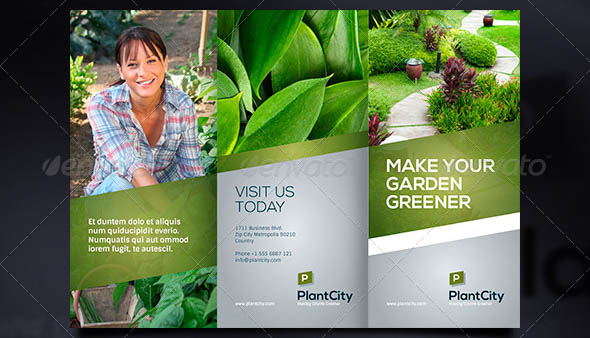 Trifold Brochure Vol 3