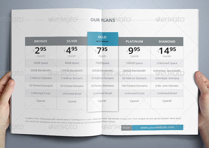 Webhosting Brochure