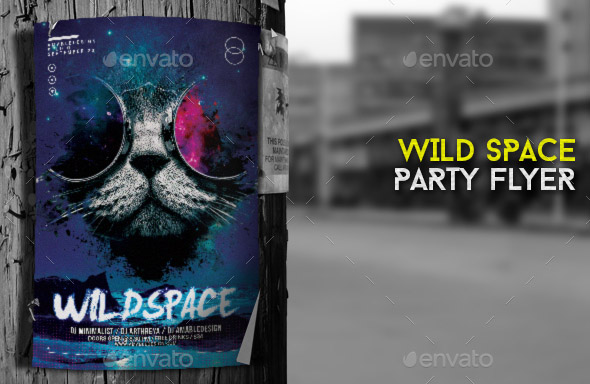 wild-space-flyer-poster